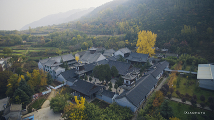 牛背梁国家森林公园第 23 张图片