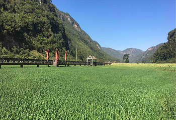 千米国画长廊第 14 张图片