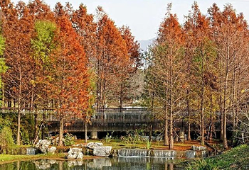 玄武湖景区-情侣园第 10 张图片
