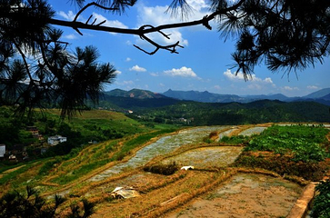 坪山梯田旅游区第 12 张图片