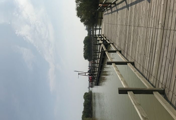 黄河口生态旅游区第 142 张图片