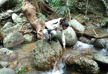 七仙岭君澜野溪温泉第 40 张图片