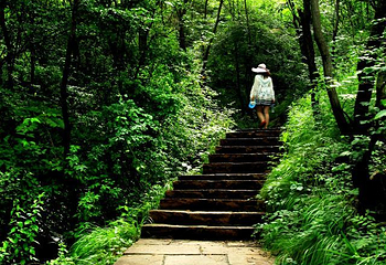 长寿村旅游风景区第 20 张图片