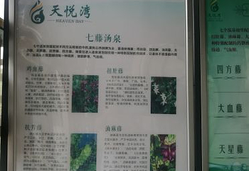 天悦湾温泉第 68 张图片
