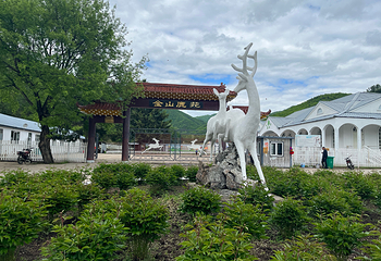 金山鹿苑第 43 张图片