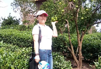 大木山茶园景区第 18 张图片
