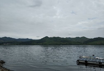 凤上线第 30 张图片