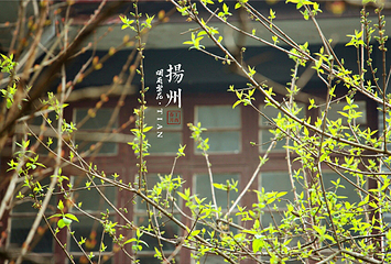 扬州大学(荷花池校区)第 11 张图片