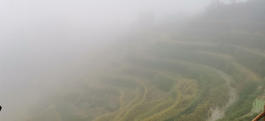 紫鹊界梯田第 32 张图片