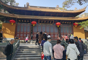 舟山市普陀山风景区-紫竹林第 17 张图片