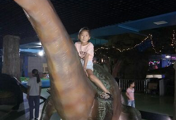 开封极地海洋世界第 18 张图片