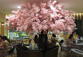 汤连得温泉馆（118店）第 38 张图片