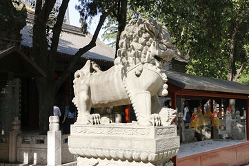大兴善寺第 78 张图片