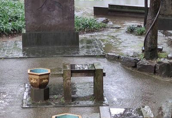 百草园第 20 张图片