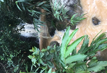 德庆盘龙峡生态旅游区第 37 张图片