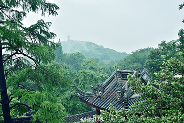 惠山国家森林公园第 13 张图片