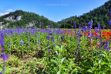 花坝旅游度假区第 29 张图片