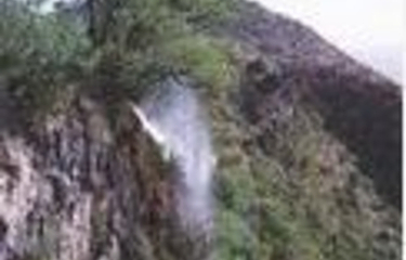东山公园第 10 张图片