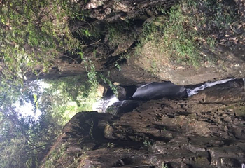 幽峪逸林旅游区第 21 张图片