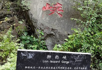 跑马岭第 14 张图片