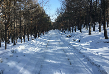 驿马山森林公园第 8 张图片