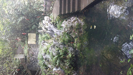 株洲酒埠江仙人桥旅游区第 13 张图片