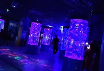山西海立方海洋公园第 18 张图片