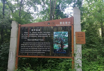 黑河国家森林公园第 28 张图片