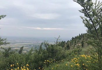 万安山山顶公园第 56 张图片