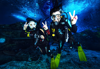 海合安天津极地海洋公园第 72 张图片