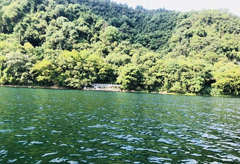 新安江龙舟漂游第 36 张图片
