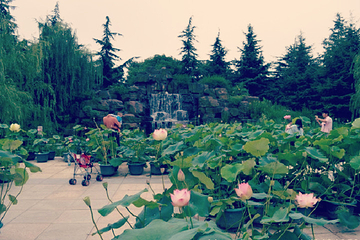 古华园第 1 张图片