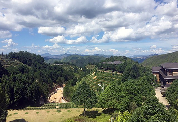 华祥苑茶庄园(珠塔村店)第 15 张图片