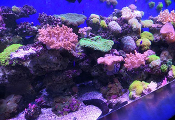 赣州极地海洋世界第 50 张图片