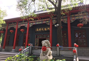 哈尔滨极乐寺第 6 张图片