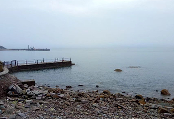 会场赶海园第 20 张图片