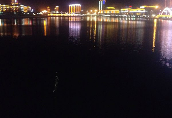 满天星第 4 张图片