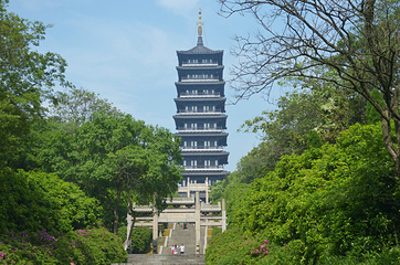 龙背山森林公园第 24 张图片