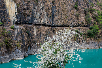 蓬壶百丈岩风景区第 15 张图片