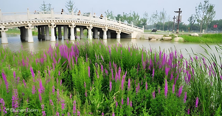 大明宫国家遗址公园第 44 张图片