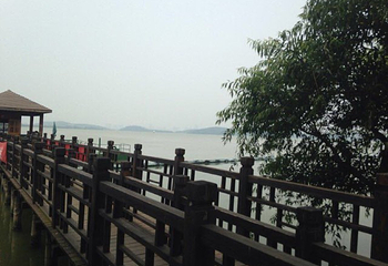 丁蜀太湖绿道骑行第 6 张图片