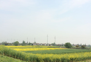 一米单车之家第 10 张图片