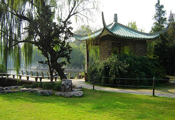 鲁迅墓第 3 张图片