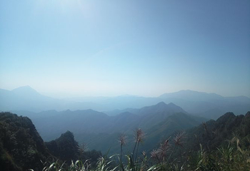 天龙顶国家山地公园第 18 张图片