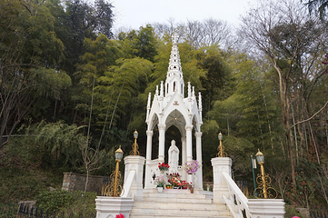 上海佘山国家森林公园第 34 张图片