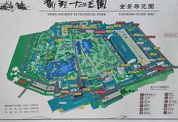 新疆古生态园汗血马基地第 55 张图片