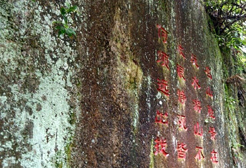 梅岭竹海明珠第 31 张图片