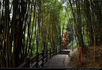 赤水丹霞旅游区·大瀑布第 41 张图片