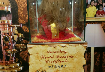 奇人异事展第 8 张图片