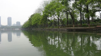 南京玄武湖游船第 14 张图片